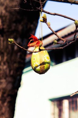 У Мукачеві з’явилося писанкове дерево – 03