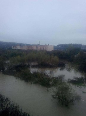 "Для жителів Радванки ця ситуація не дуже добра": Мирослав Горват про велику воду – 04 "Для жителів Радванки ця ситуація не дуже добра": Мирослав Горват про велику воду – 04