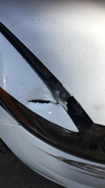 В Ужгороді розшукують водія, який пошкодив чуже авто і втік – 02