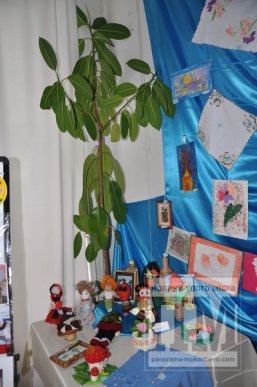 У Мукачеві проходить виставка-продаж творчих робіт людей із особливими потребами (ФОТОРЕПОРТАЖ) – 08