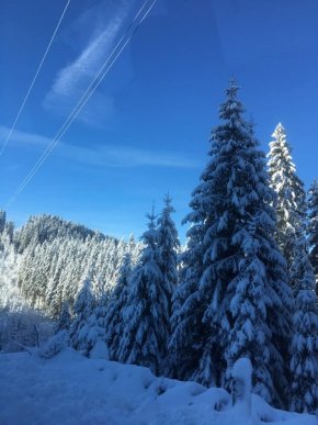 Зимова казка: мережею ширяться неймовірні світлини гір Закарпаття – 02 Зимова казка: мережею ширяться неймовірні світлини гір Закарпаття – 02