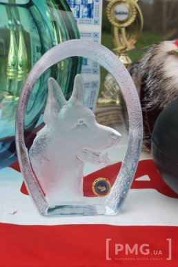 Збірна Франції перемогла на чемпіонаті світу зі слідової роботи службових собак – 09