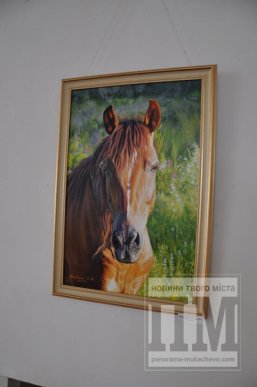 У Мукачеві стартувала виставка неймовірно красивих картин від творчого об’єднання "Райдуга" (ФОТО) – 04