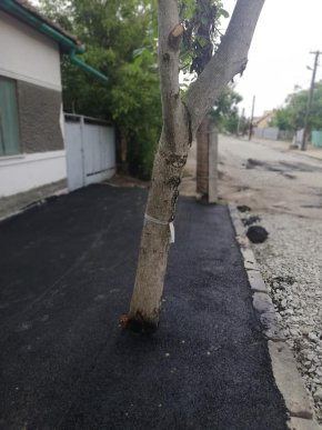 Закарпатців здивувало те, як у Берегові заасфальтували тротуар – 03