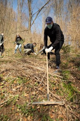 500 дерев задля відновлення лісів Закарпаття, – працівники "Джейбіла" висадили хвойні в урочищі "Дубки" – 07