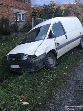 На Виноградівщині зранку водій збив корову. Тварина загинула на місці – 03