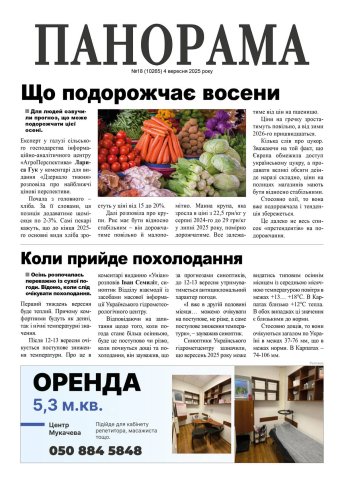 Газета «Панорама», № 18