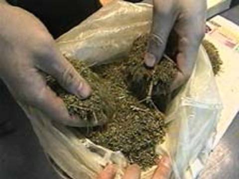 Мукачівця затримали за збут марихуани Мукачівця затримали за збут марихуани