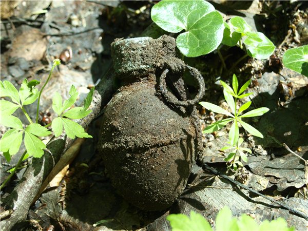На Червоній горі в Мукачеві знайшли осколочну гранату На Червоній горі в Мукачеві знайшли осколочну гранату