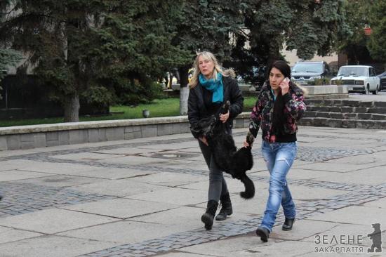 Під міську раду Ужгорода знесли мертвих собак (ФОТО) Під міську раду Ужгорода знесли мертвих собак (ФОТО)