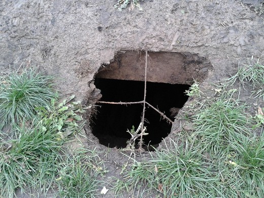 В самому центрі Мукачева, під пам’ятником Олександру Духновичу, утворилась бездонна яма (ФОТО) В самому центрі Мукачева, під пам’ятником Олександру Духновичу, утворилась бездонна яма (ФОТО)