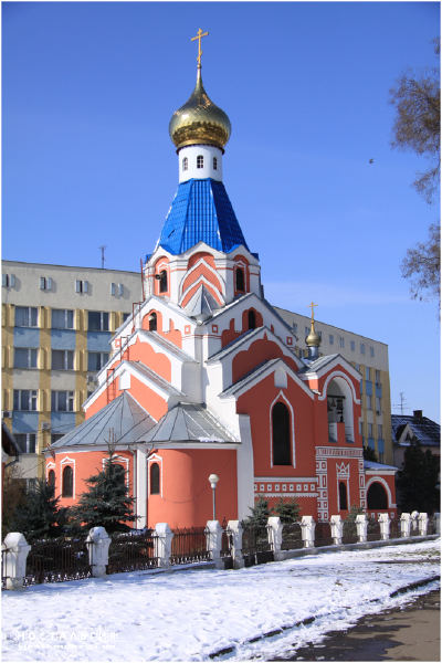 В Ужгороді на території церкви зрізали і викрали ялинку В Ужгороді на території церкви зрізали і викрали ялинку