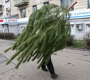На Закарпатті проходить ялинковий рейд (ВІДЕО) На Закарпатті проходить ялинковий рейд (ВІДЕО)