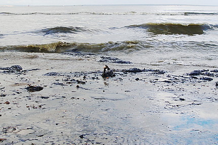 У водному господарстві прозвітували про те, як боролися витоком нафтопродуктів у каналі поблизу села Баркасово У водному господарстві прозвітували про те, як боролися витоком нафтопродуктів у каналі поблизу села Баркасово