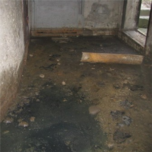 Жителям однієї з ужгородських багатоповерхівок вже близько семи років псує життя каналізація (ВІДЕО)
