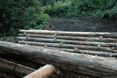 Спеціалісти активно відбудовують лісові дороги та мости, які були зруйновані паводками