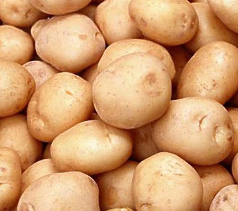 У селі Велика Добронь відбувся уже традиційний фестиваль картоплі