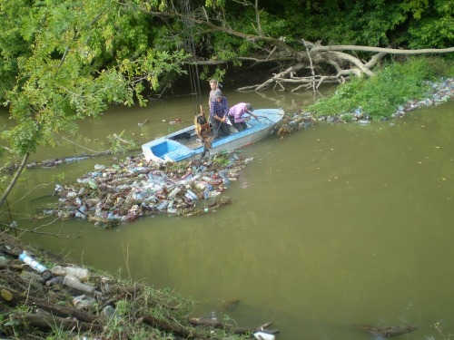 Річку Боржава очищають від побутового сміття