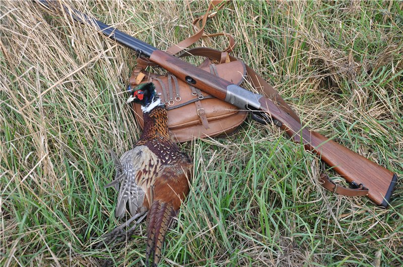 На Мукачівщині стартував сезон полювання на фазана (ВІДЕО)