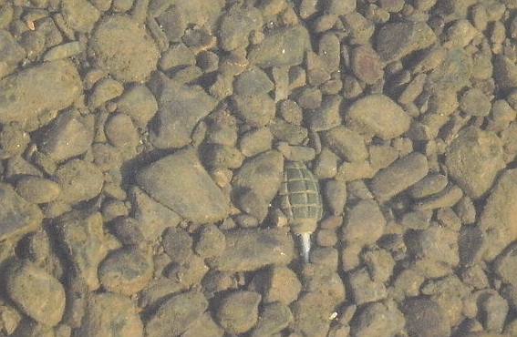 В річці, де ціле літо відпочивали люди, знайшли ручну гранату (ФОТО)