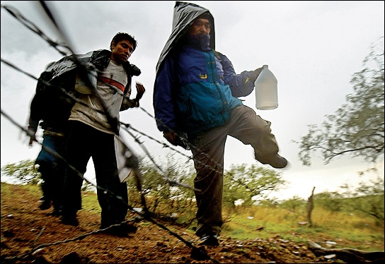 За звітний період поточного року підрозділами охорони кордону затримано 268 незаконних мігрантів