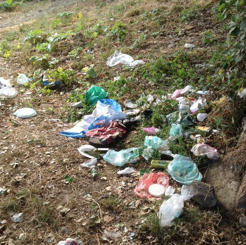 Завтра від самого ранку у Мукачеві прибиратимуть та озеленюватимуть місто Завтра від самого ранку у Мукачеві прибиратимуть та озеленюватимуть місто