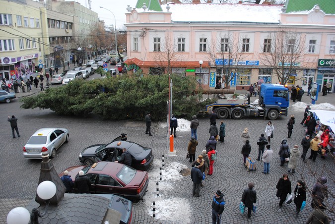Новорічну ялинку, яка красуватиметься на площі Миру, вже доставили в Мукачево (ФОТО) Новорічну ялинку, яка красуватиметься на площі Миру, вже доставили в Мукачево (ФОТО)