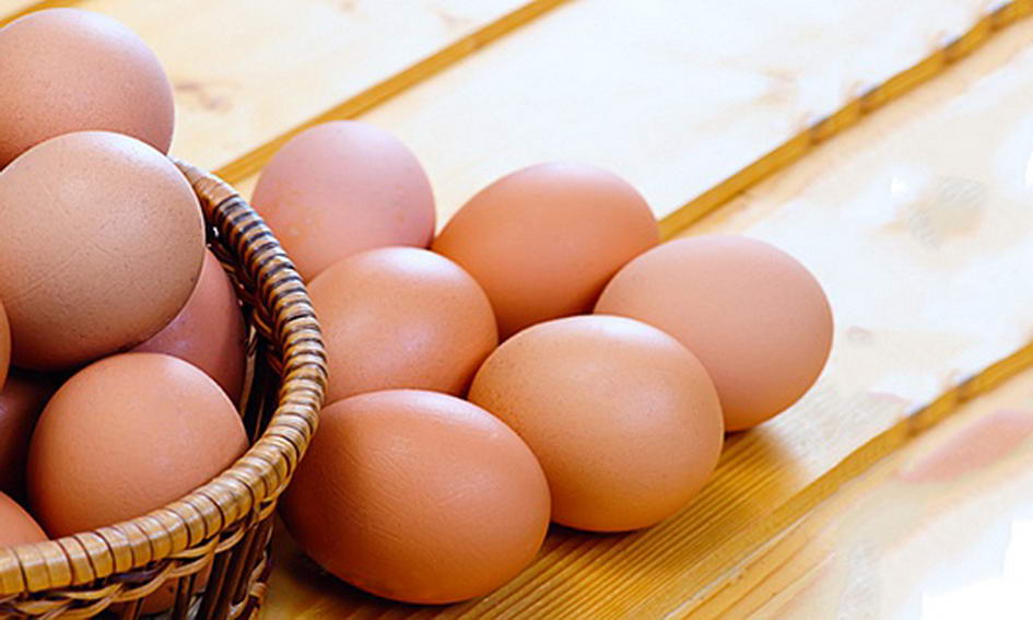 На Мукачівщині збільшилося виробництво молока та яєць