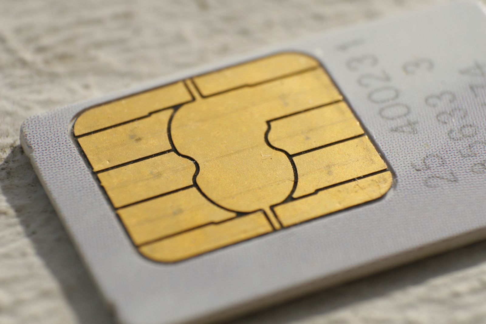 Наркотики у булочках вже передавали, тепер SIM-карту у цибулі – і все це незаконним шляхом для ув’язнених (ФОТО) Наркотики у булочках вже передавали, тепер SIM-карту у цибулі – і все це незаконним шляхом для ув’язнених (ФОТО)