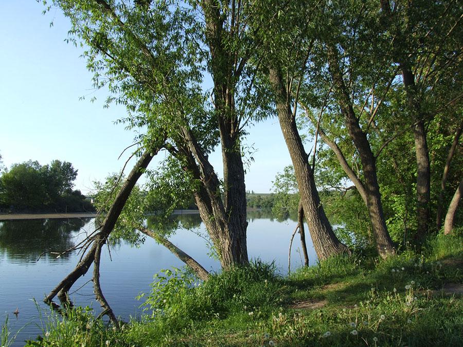 Зони відпочинку за Ужгородом: Кам’яниця, Оріховиця та Невицьке Зони відпочинку за Ужгородом: Кам’яниця, Оріховиця та Невицьке