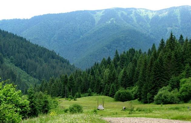 Прокуратура всерйоз зайнялась посадовцями, які віддали гектар землі у заповіднику рахівчанину Прокуратура всерйоз зайнялась посадовцями, які віддали гектар землі у заповіднику рахівчанину