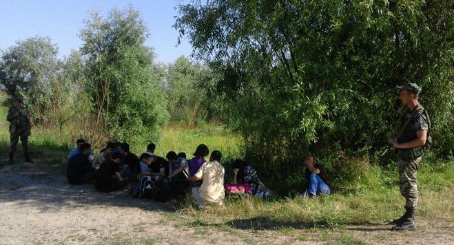 На Закарпатті прикордонники затримали одну з найбільших груп незаконних мігрантів На Закарпатті прикордонники затримали одну з найбільших груп незаконних мігрантів