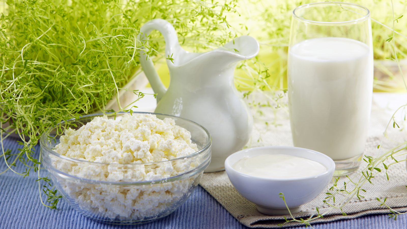 Закарпатцям слід бути обачливими при покупці продуктів харчування Закарпатцям слід бути обачливими при покупці продуктів харчування