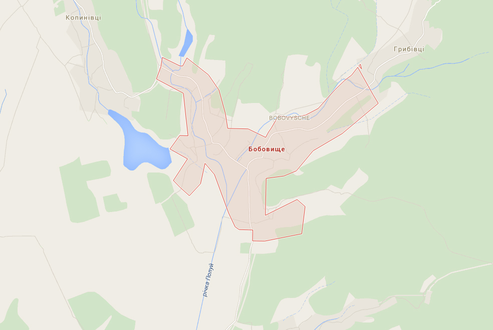 Двох бійців "Правого сектора" виявили у Бобовищі, село очеплене, бійців переслідують спецпризначенці Двох бійців "Правого сектора" виявили у Бобовищі, село очеплене, бійців переслідують спецпризначенці