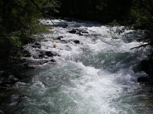 Водойми області продовжують забирати життя закарпатців Водойми області продовжують забирати життя закарпатців