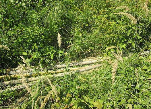 19-річного ужгородця спіймали на крадіжці металу 19-річного ужгородця спіймали на крадіжці металу