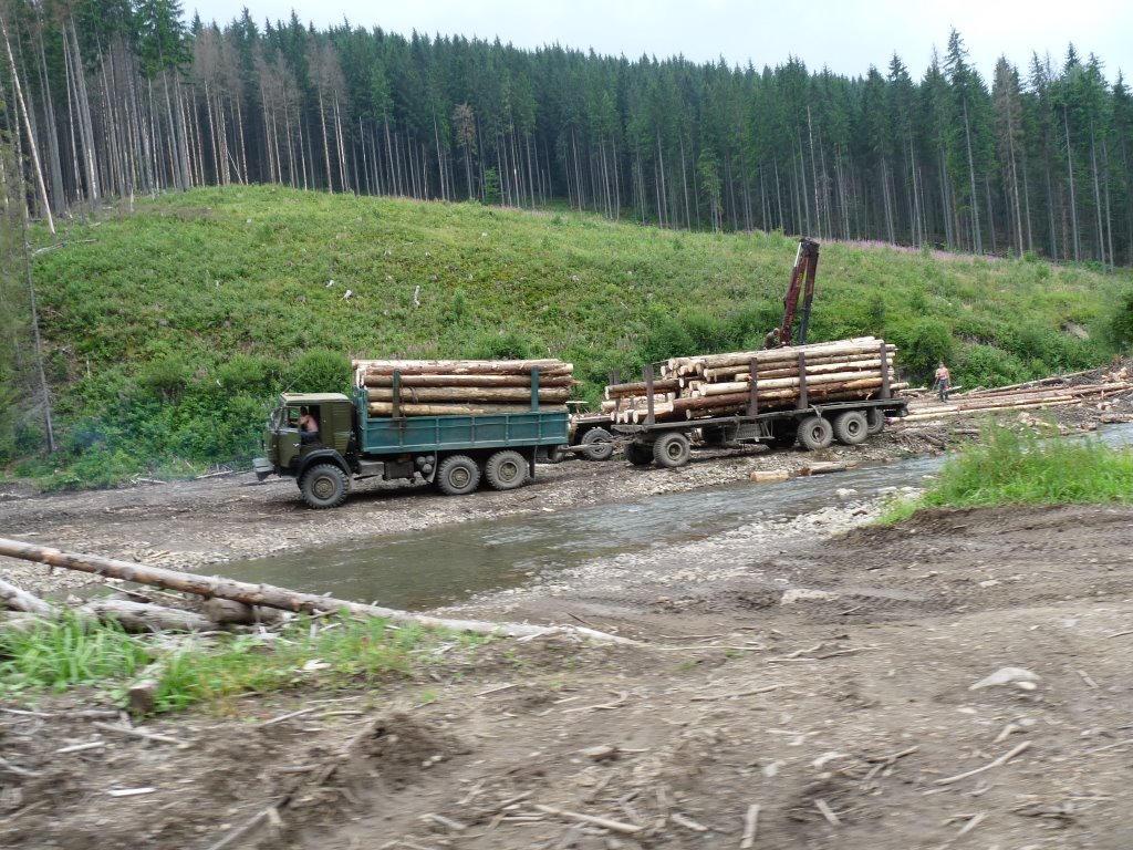 На Ужгородщині затримали вантажівку із 35 кубометрами деревини На Ужгородщині затримали вантажівку із 35 кубометрами деревини