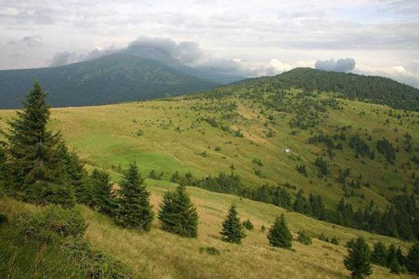 В Ужанському національному парку горіла лісова підстилка В Ужанському національному парку горіла лісова підстилка