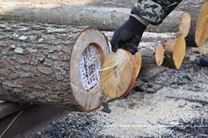 Контрабандисти намагались провести до Словаччини 38 тисяч пачок сигарет, – СБУ Контрабандисти намагались провести до Словаччини 38 тисяч пачок сигарет, – СБУ
