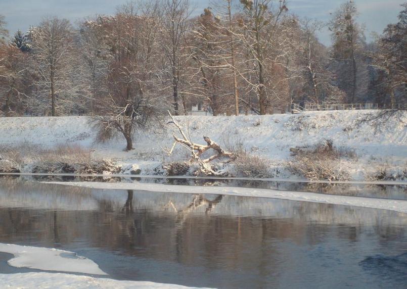 На Закарпатті очікується підвищення рівня води в річках На Закарпатті очікується підвищення рівня води в річках