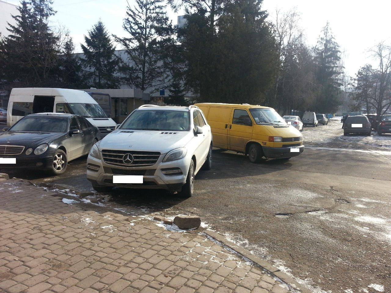 В Ужгороді поліція оштрафувала двох VIP-оленів В Ужгороді поліція оштрафувала двох VIP-оленів