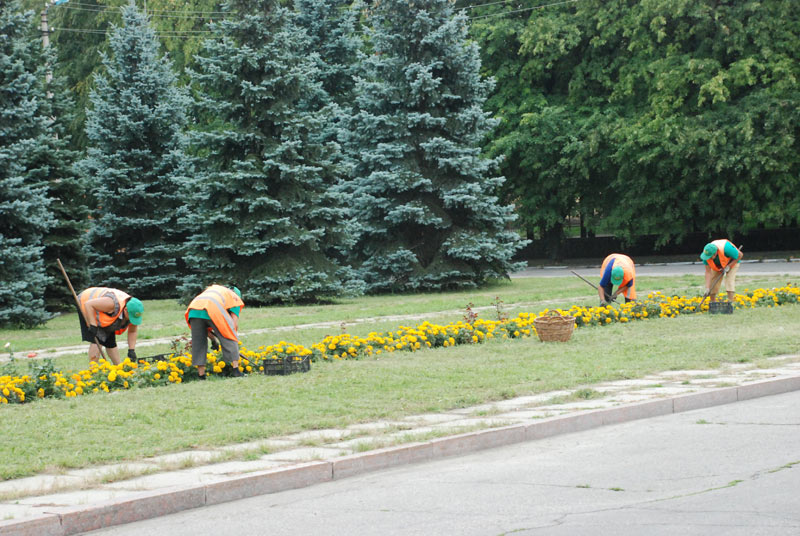 Ужгородська міська влада планує озеленювати місто спільно з науковцями УжНУ Ужгородська міська влада планує озеленювати місто спільно з науковцями УжНУ
