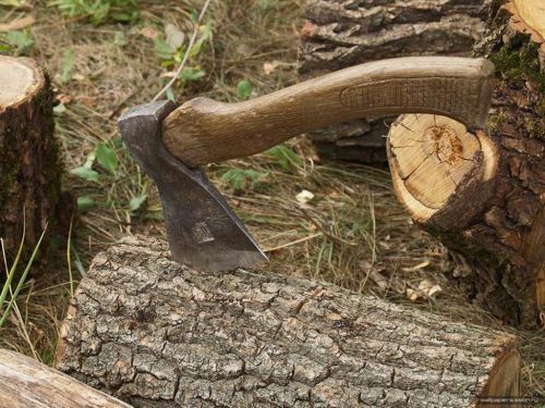Обласні депутати планують ввести мораторій на вирубку лісів у заповідних зонах Обласні депутати планують ввести мораторій на вирубку лісів у заповідних зонах