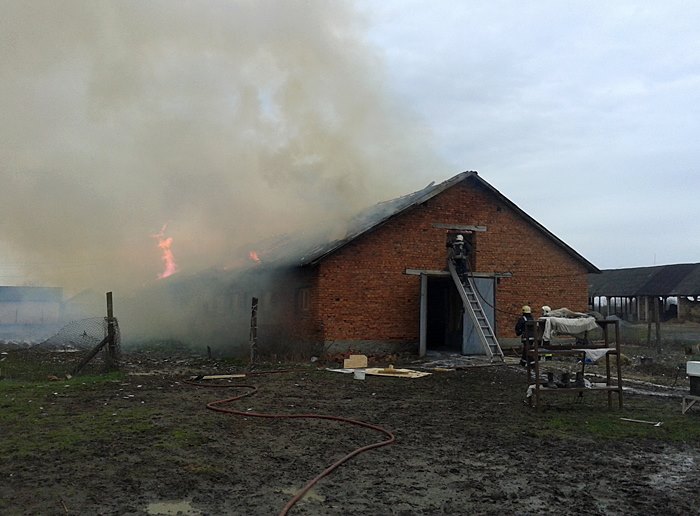 На Берегівщині у корівнику сталась пожежа На Берегівщині у корівнику сталась пожежа