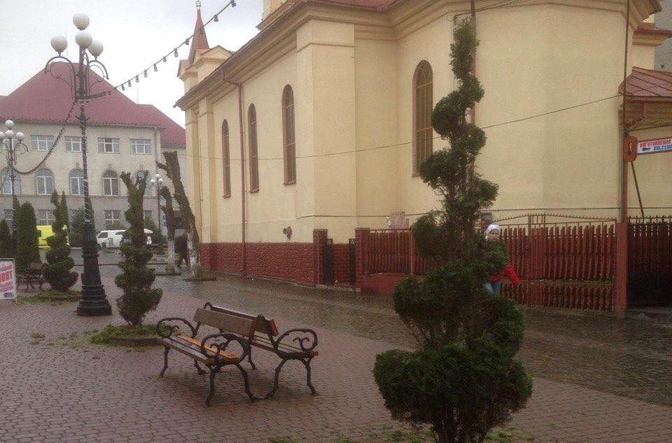 Деревцям туї у центрі Тячева надали оригінального вигляду Деревцям туї у центрі Тячева надали оригінального вигляду