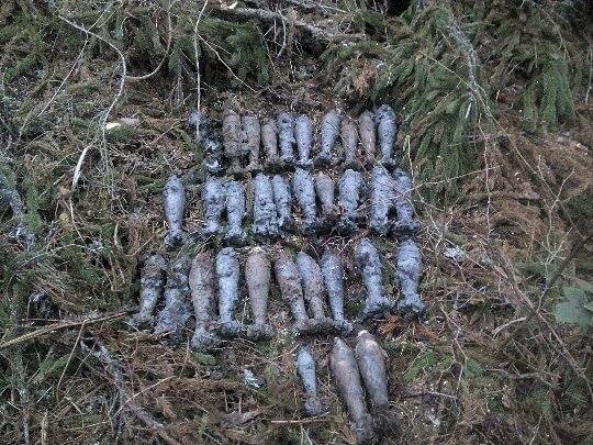 На Рахівщині піротехніки знищили 33 боєприпаси часів Другої світової війни На Рахівщині піротехніки знищили 33 боєприпаси часів Другої світової війни