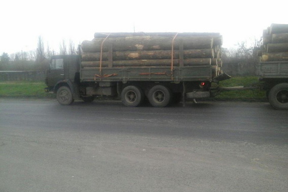 У Мукачеві правоохоронці зупинили дві вантажівки з деревиною У Мукачеві правоохоронці зупинили дві вантажівки з деревиною