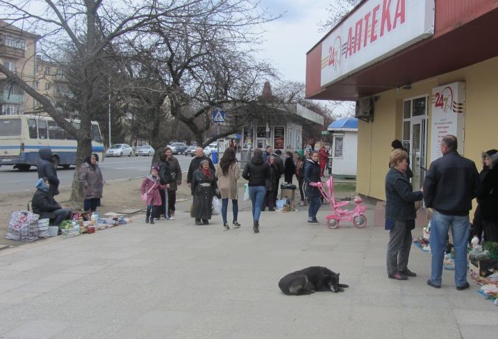 Ужгород обзавівся новим стихійним ринком, який "охороняють" бродячі собаки Ужгород обзавівся новим стихійним ринком, який "охороняють" бродячі собаки