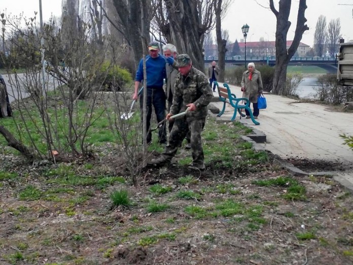 Комунальники саджають в Ужгороді каштани Комунальники саджають в Ужгороді каштани