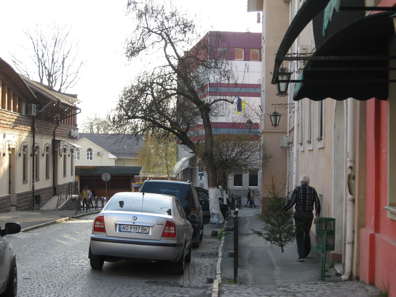 У мережі кепкують із ужгородця, який, фактично, перед Великоднем виніс із хати ялинку У мережі кепкують із ужгородця, який, фактично, перед Великоднем виніс із хати ялинку